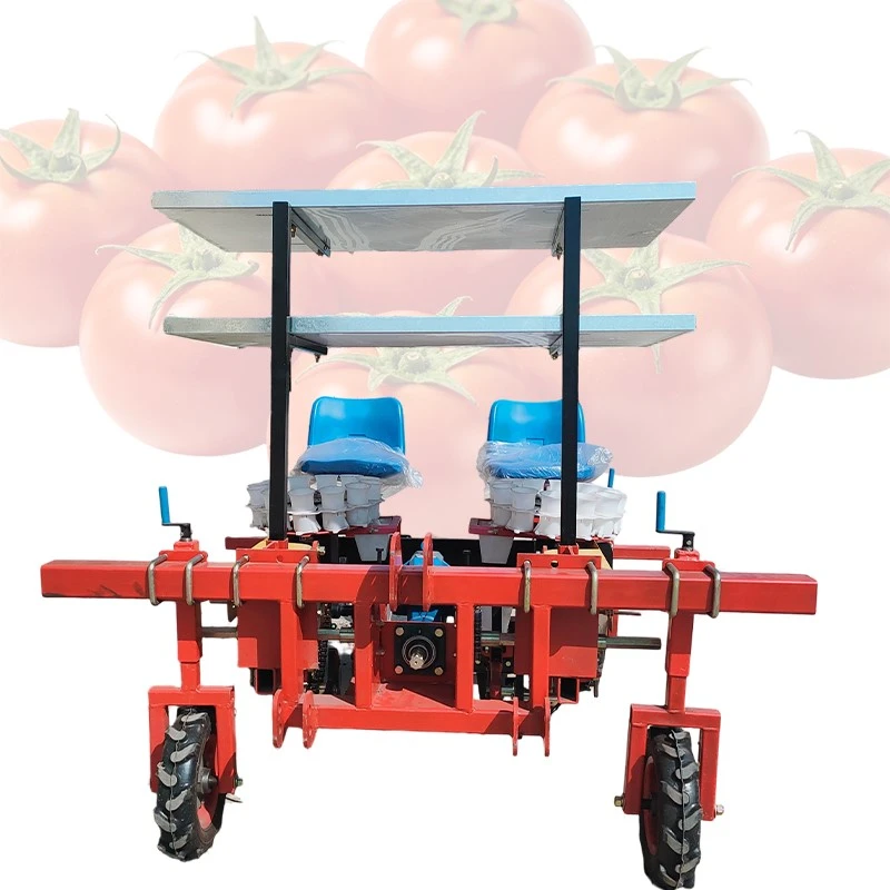 tomato seeding trsnsplanter 3 tomato seeding trsnsplanter 3
